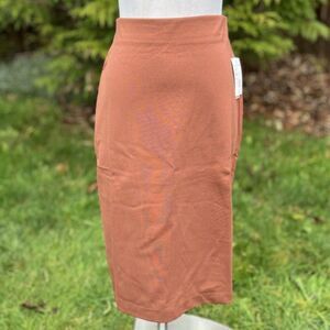 Philosophy Rust A-Line Skirt Gold Zip Back NWT Size 6 Business Attire